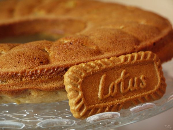 Gâteau aux pommes & Spéculoos